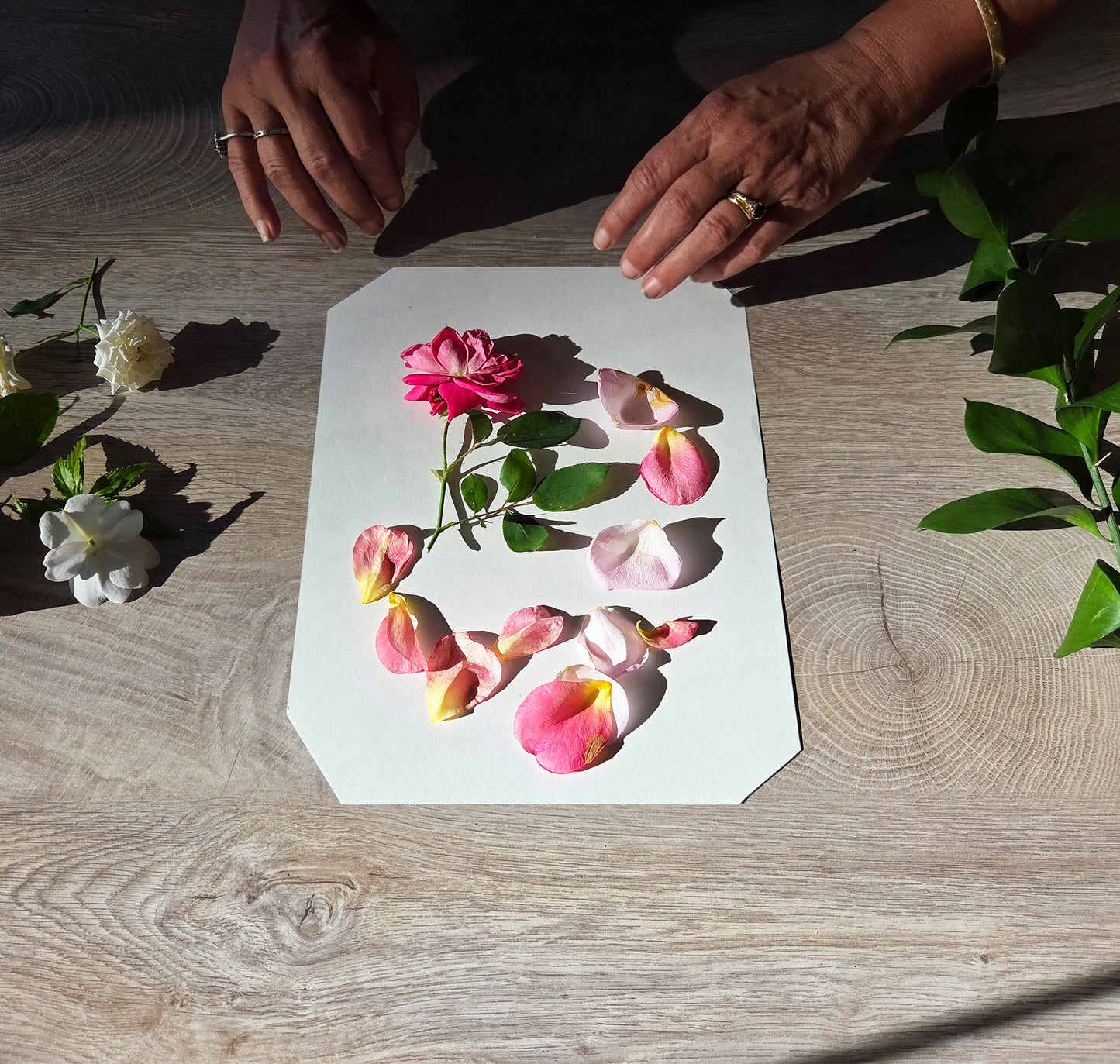 Personalized Flower Press Kit. Custom Engraved Wooden Botanical Press, Nature Lover Gift, Herbarium Keepsake Gift.