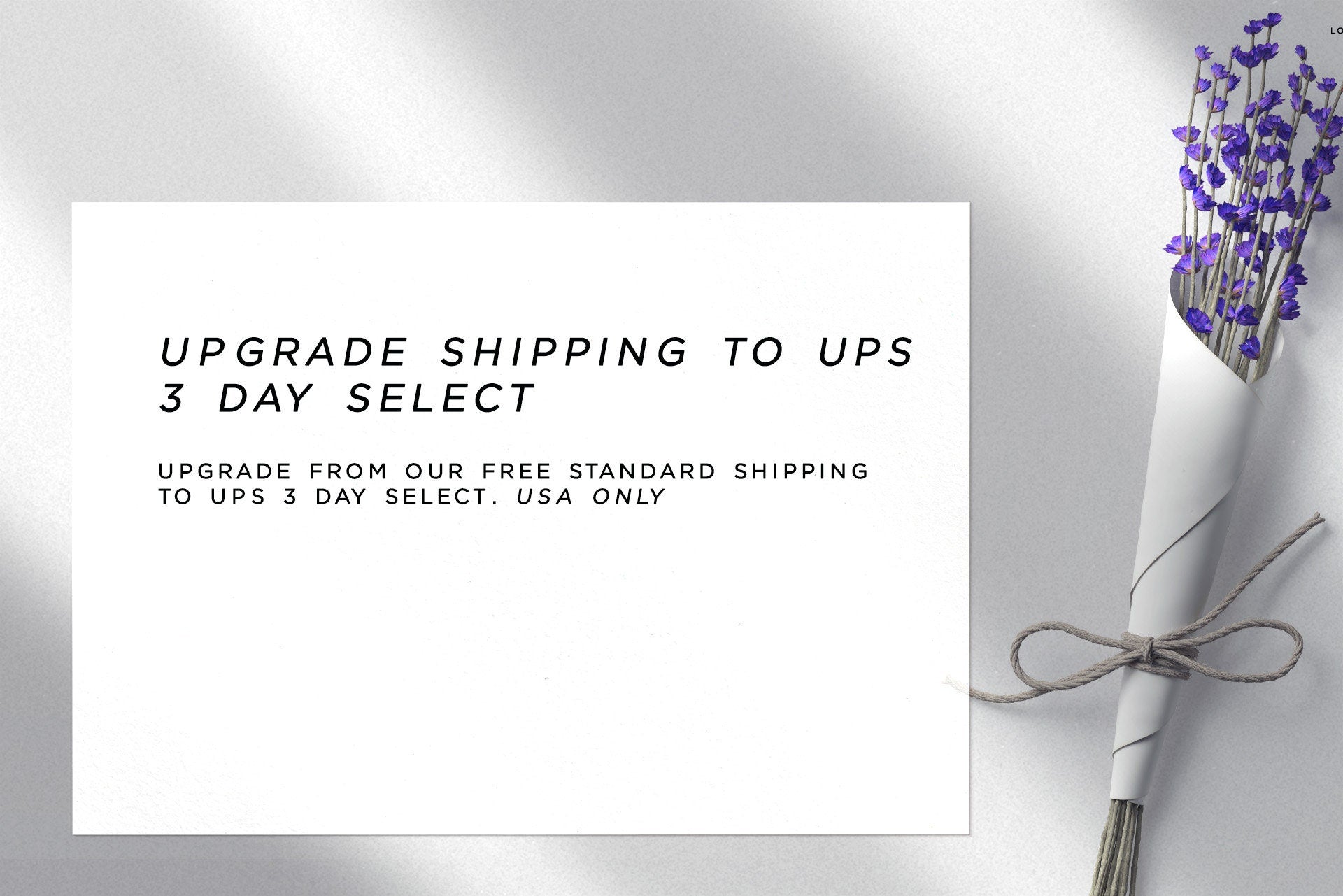 UPS 3 Day Select shipping upgrade