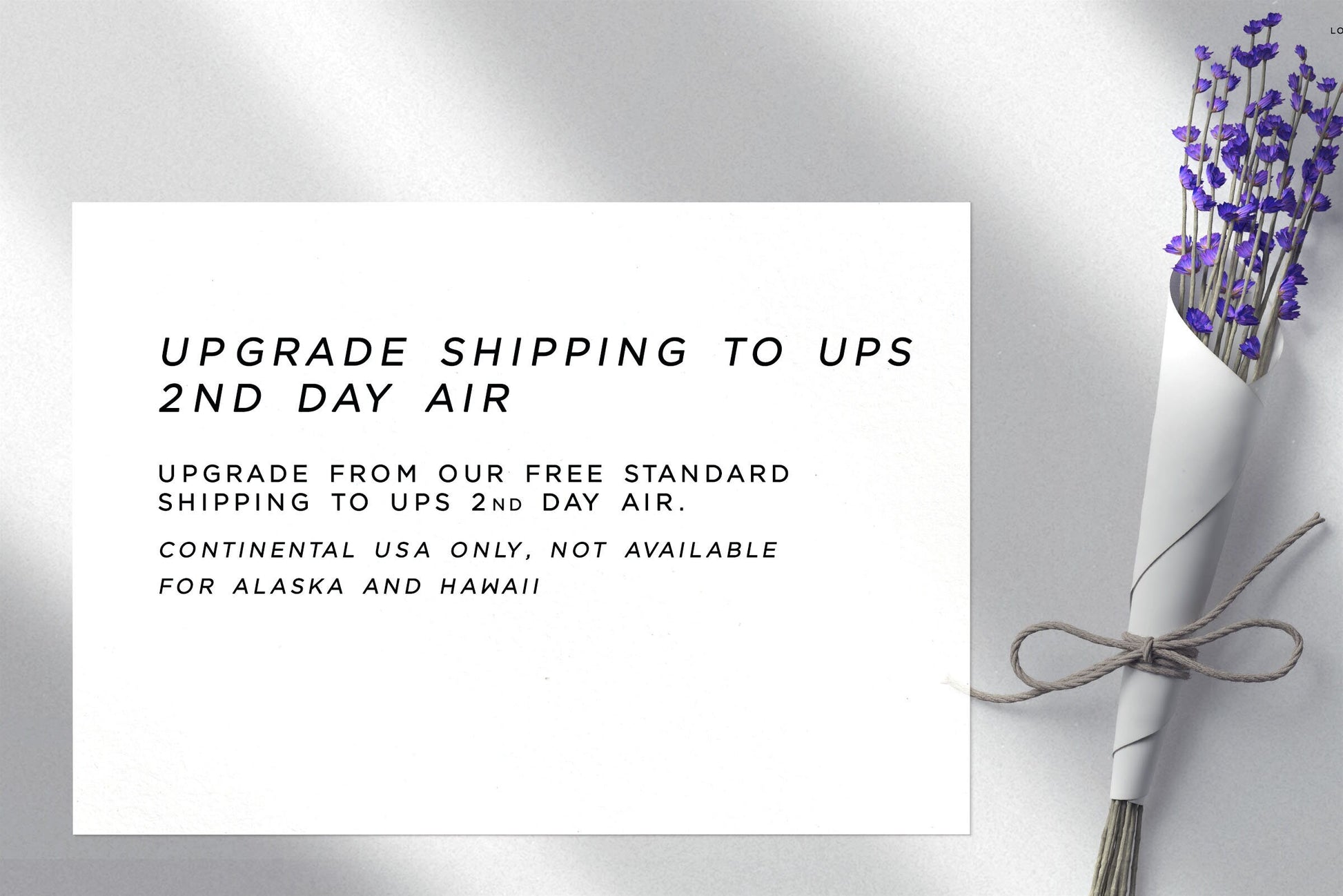 UPS 2nd Day Air shipping upgrade