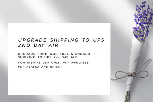 UPS 2nd Day Air shipping upgrade